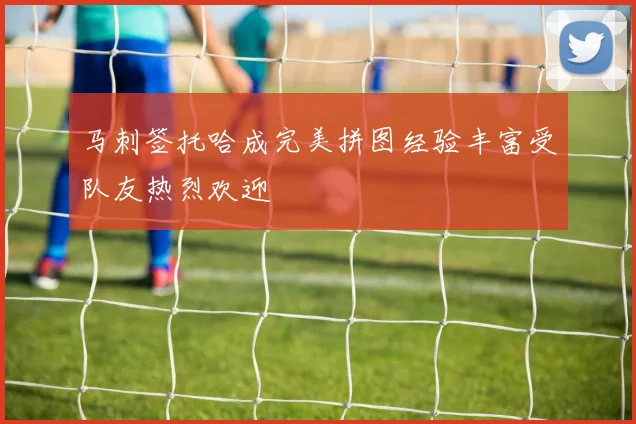 马刺签托哈成完美拼图经验丰富受队友热烈欢迎