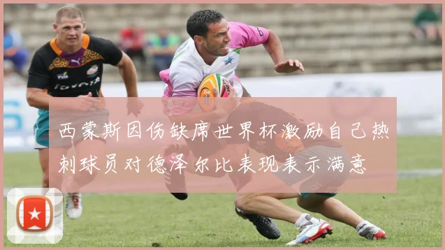 西蒙斯因伤缺席世界杯激励自己热刺球员对德泽尔比表现表示满意