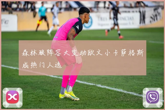 森林狼阵容大变动欧文小卡萨格斯成热门人选